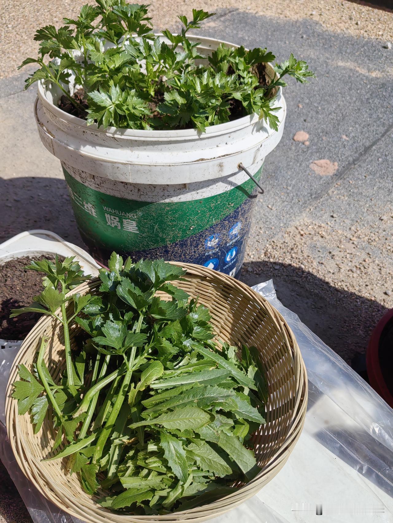 强烈要求儿子删除关闭游戏这个软件，为此和儿子大吵，只要有时间，就会把自己关在房间