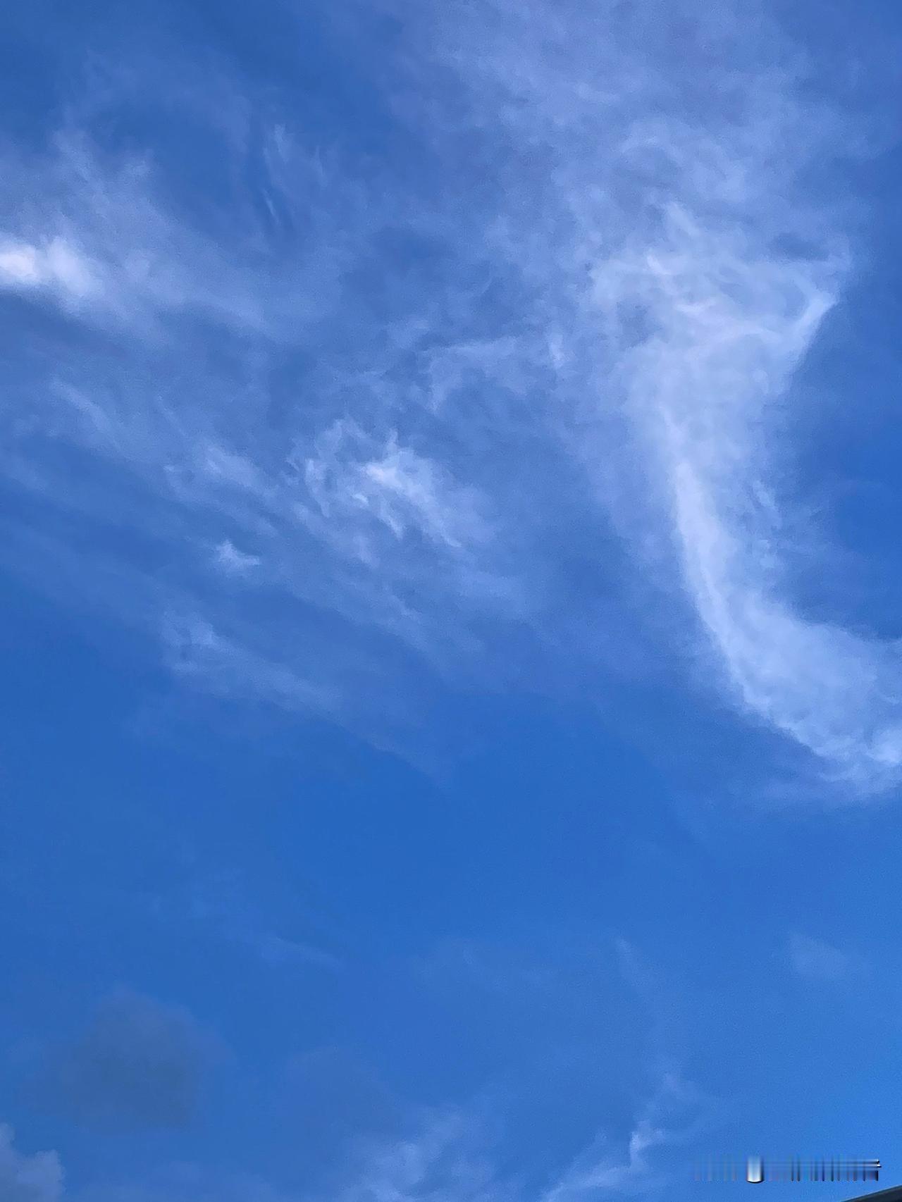 三伏天宅家不用愁，躺着刷手机才是夏日顶配消遣

外面高温晒得人喘不过气，出门一趟