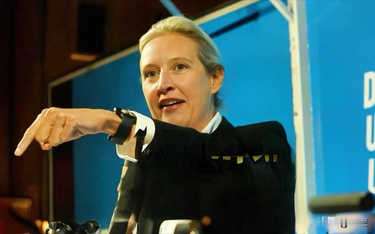 德国又要乌克兰退还德国所有的钱
德国的选择党主席魏德尔摊牌了，称北溪管道是乌克兰