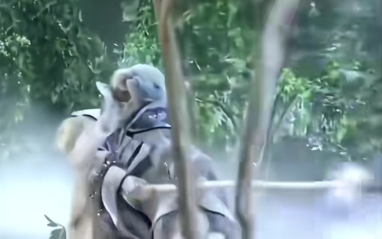 分享图片 