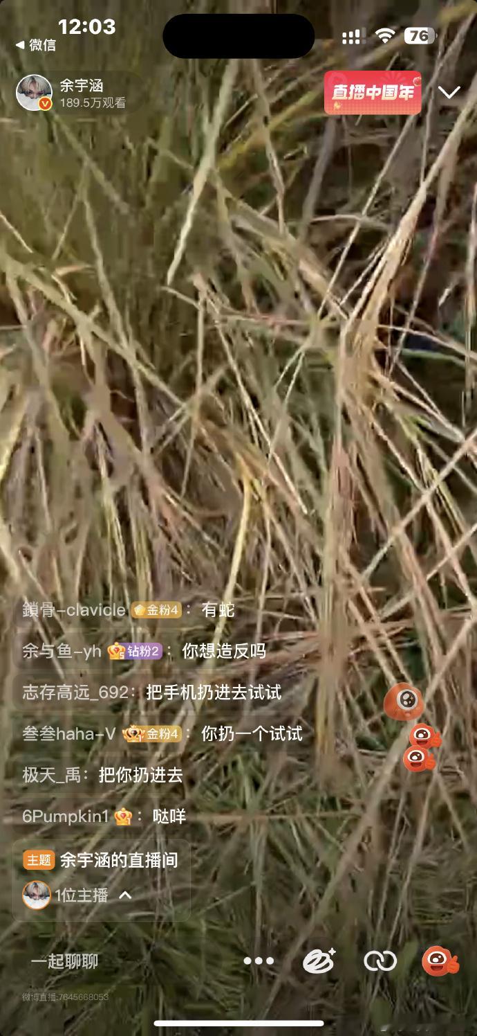 余宇涵带粉丝上山了 谁被余宇涵宠到了！亲自带粉丝上山体验大自然，这种双向奔赴真的