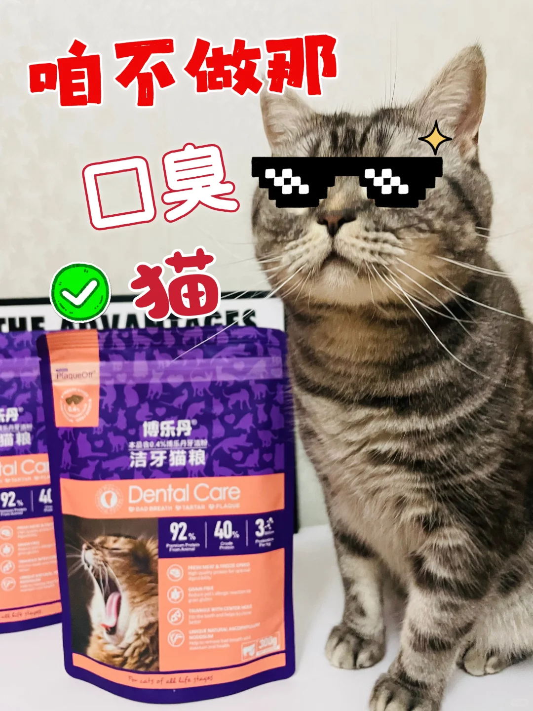 咱不做那口臭猫‼️