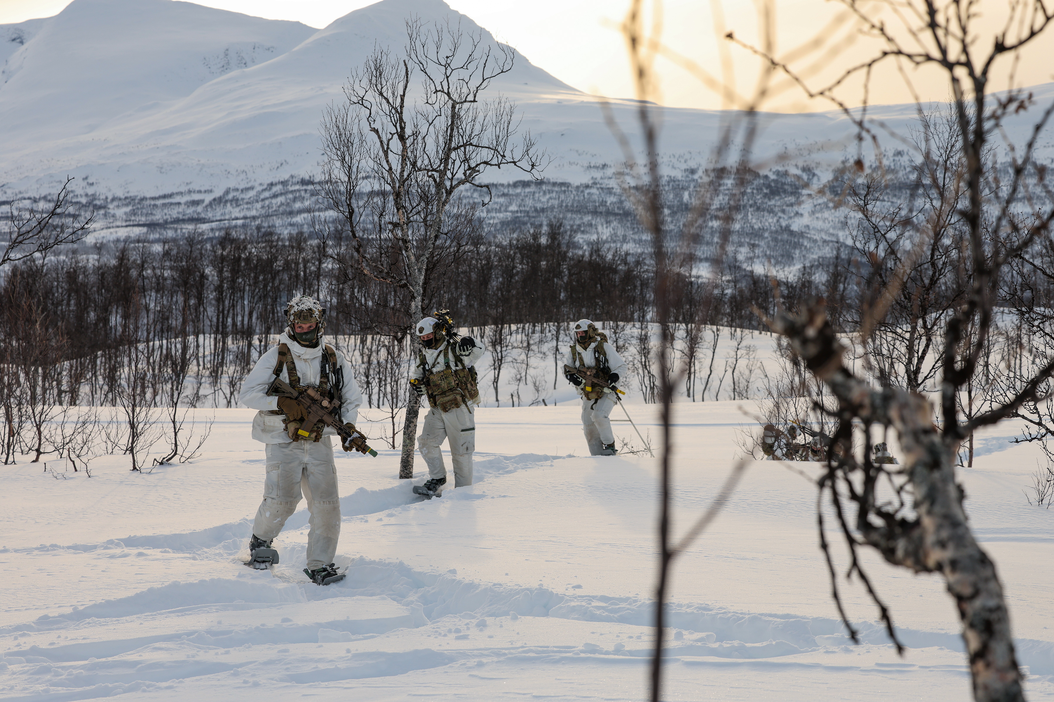 英国皇家海军陆战队突击队在挪威进行极地训练（2）烽火问鼎计划