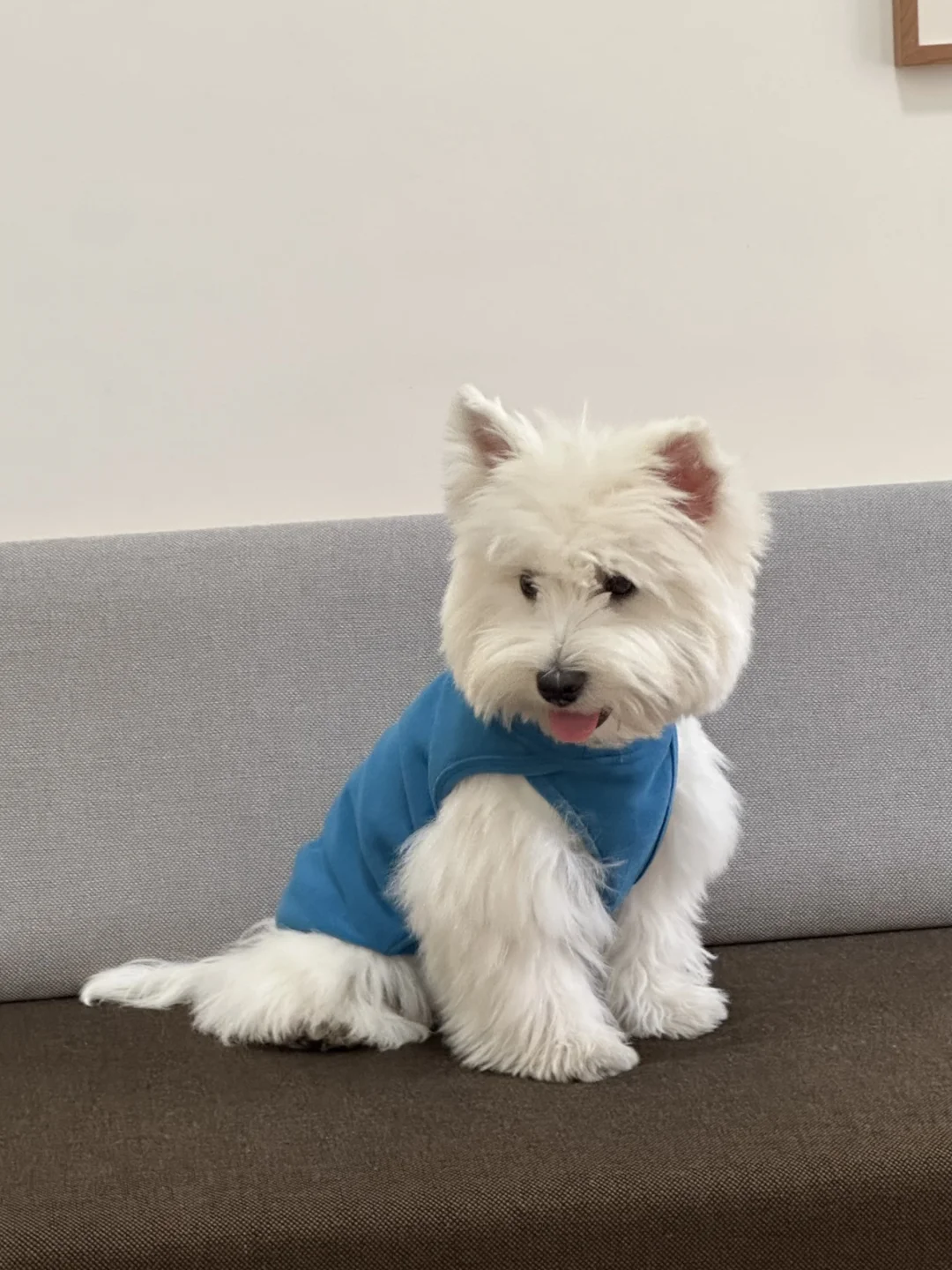 被这个蓝色硬控啦💙