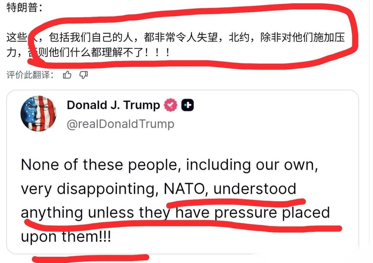 特朗普是秘书长的“爹地”，当然知道北约是个“纸老虎”。他批评说，北约里有些家伙，