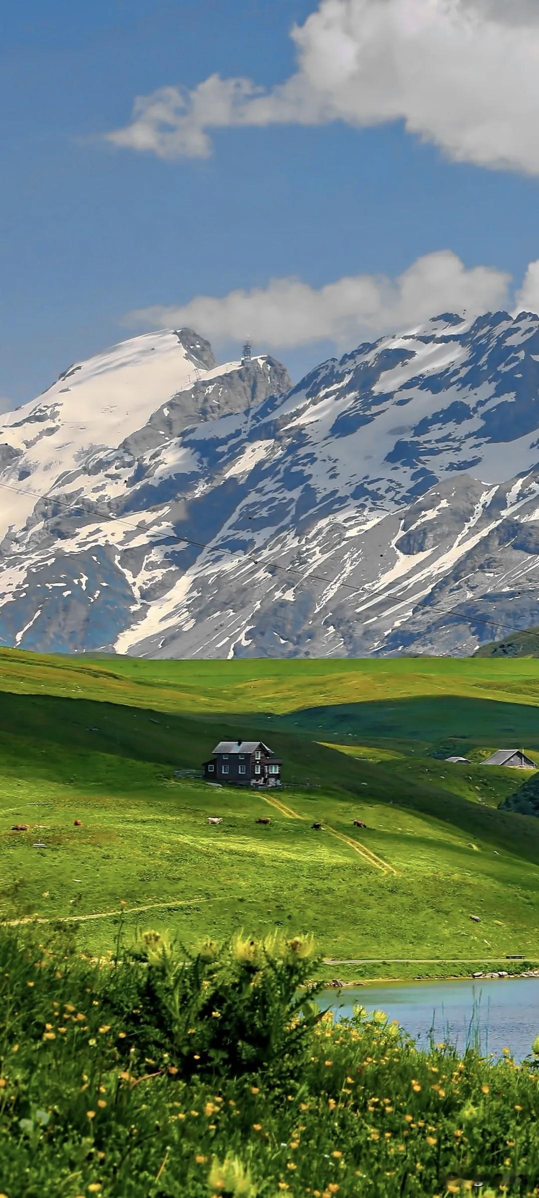 丰田品质B级纯电家轿9.38万