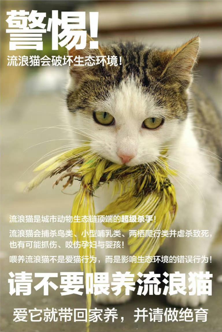 地球是人类的地球，如果有别的生物威胁到人类，那么就应该采取措施！不管它们是猫还是