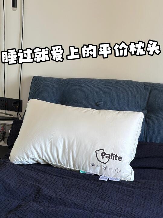 睡过就爱上的平价枕头