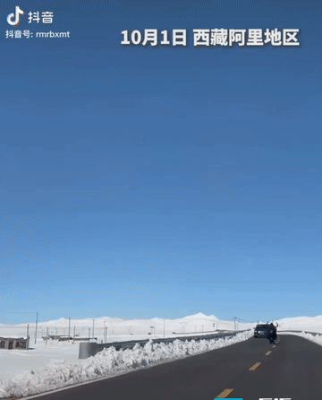 “上人民日报了！” 西藏，一名男子自驾途中，一头牦牛突然冲到车前，男子吓得赶紧刹
