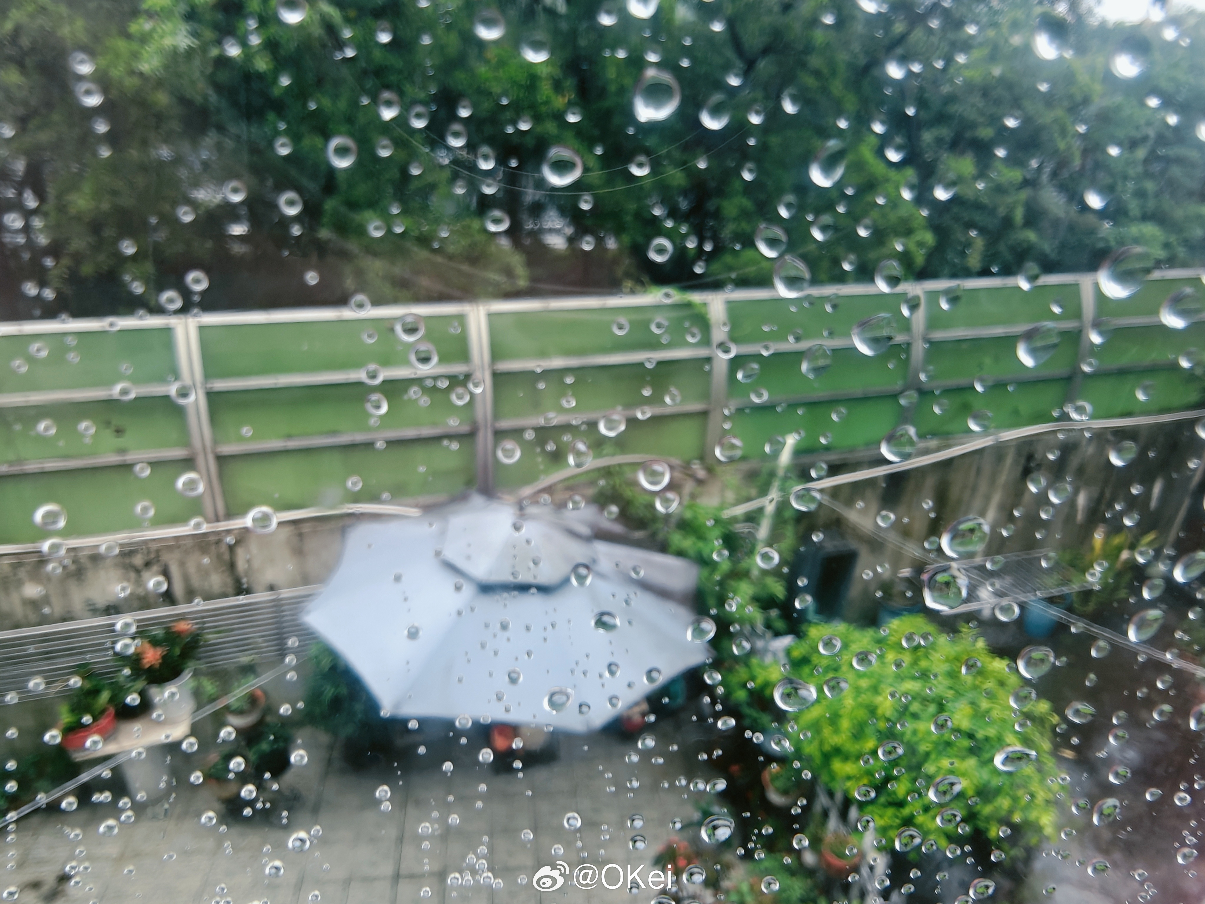 深圳到了一个月都会下雨的季节，头痛