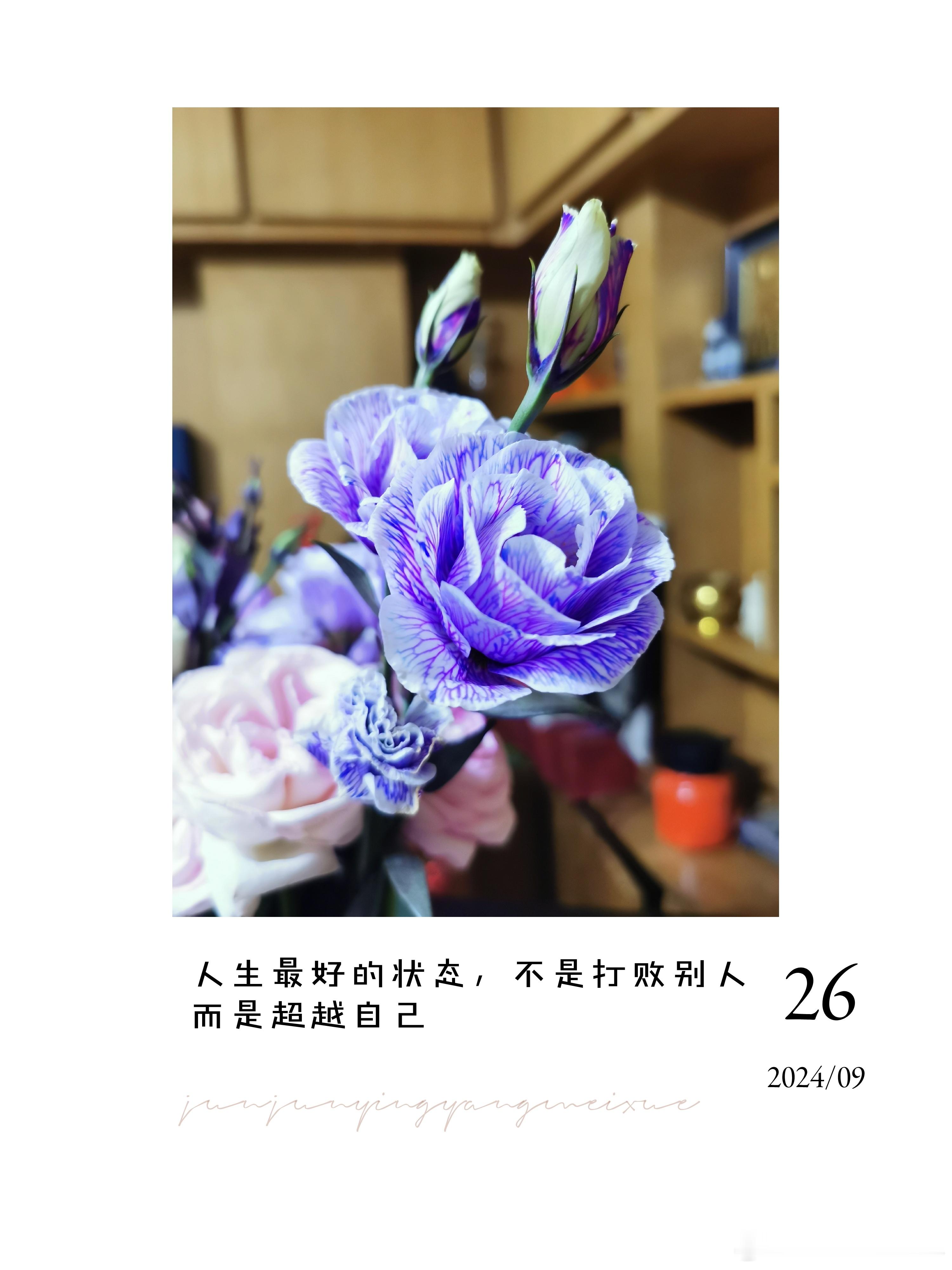 #早安[超话]##早安# 人生最好的状态，不失打败别人，而是超越自己。早上好💐