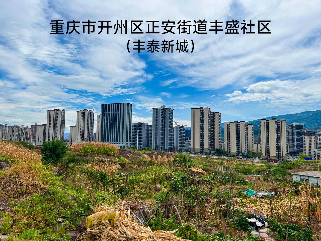 这里是重庆市开州区正安街道丰盛社区，也就是大家口中的丰泰新城。这个片区建成区面积