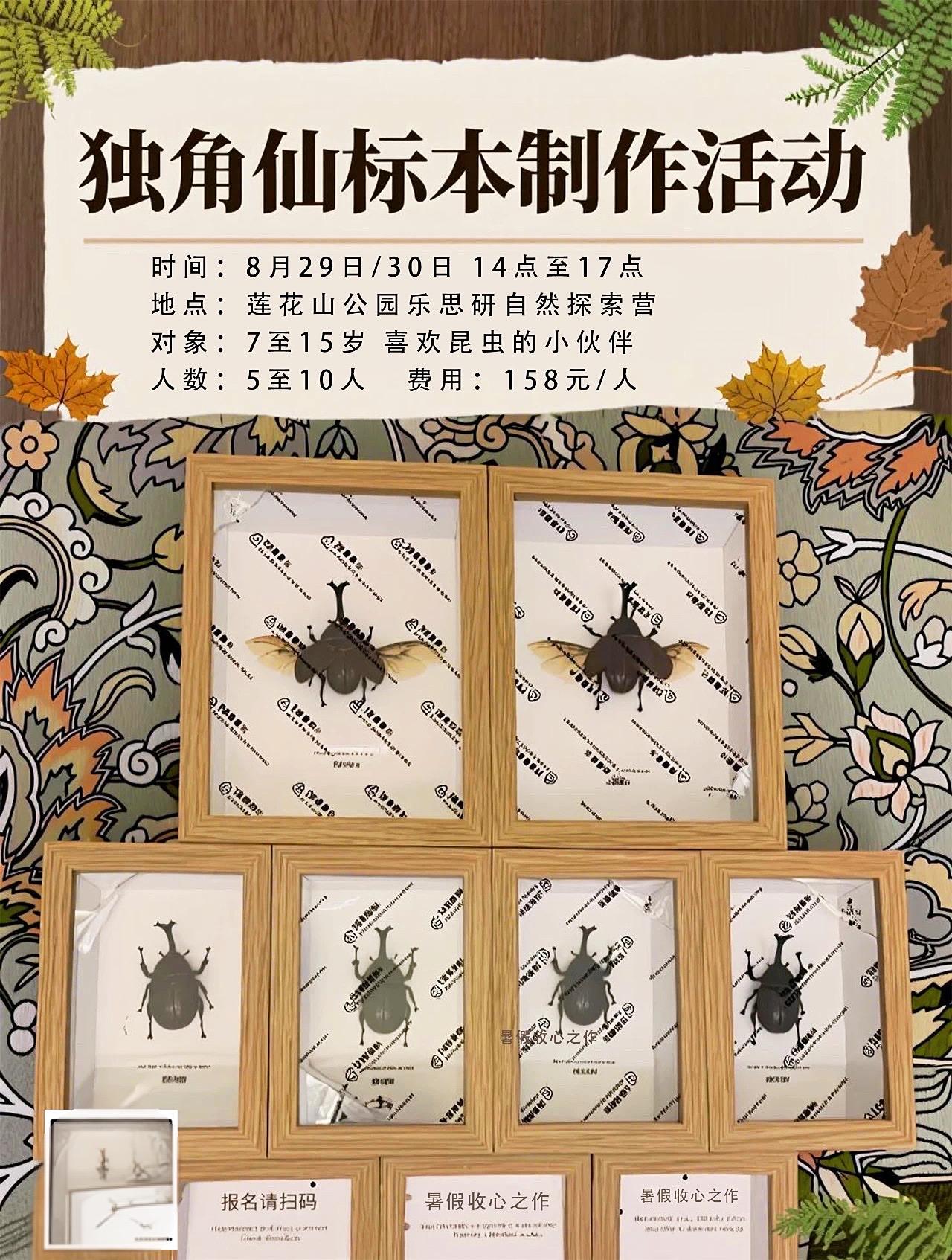 小伙伴们一起来体验吧普宁 普宁流沙 乐思研自然探索营 暑假