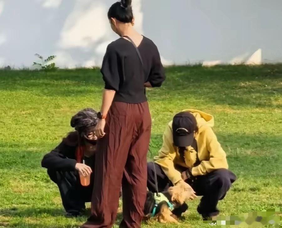 王菲估计没有机会抱上窦靖童的孩子了。现在窦靖童和宋妍霏已经不遮遮掩掩了，俩人一起