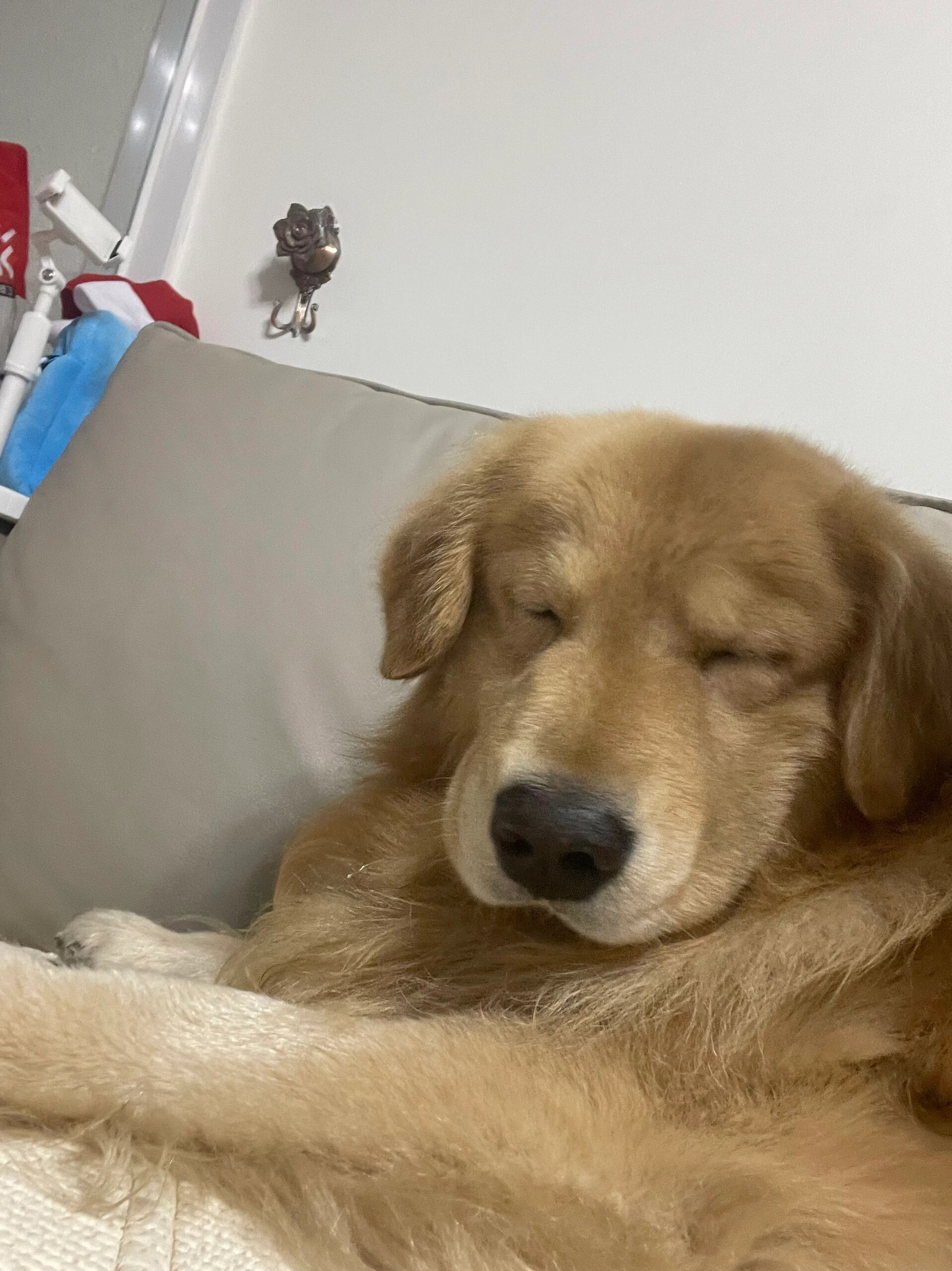 节后上班第一天的我be like 