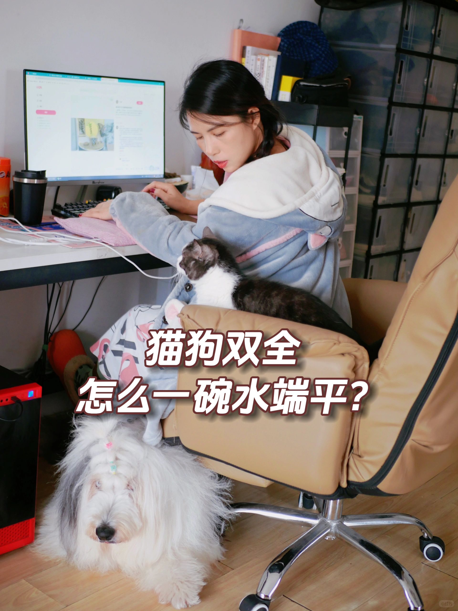 猫狗双全，怎么做到一碗水端平？