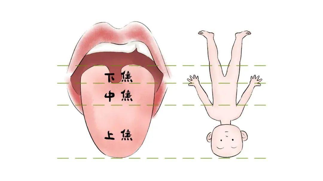 鼻炎的小孩子，多是上热下寒体质，试试一碗水！
 
很多鼻炎的小朋友，除了脾胃弱外