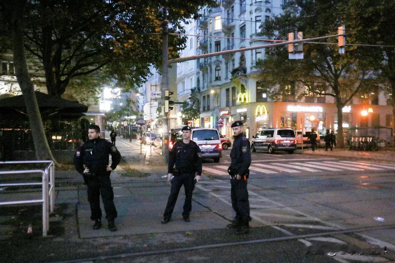 奥地利警方发现涉嫌谋杀市长的男子尸体
当地时间11月2日下午，上奥地利州警方通报