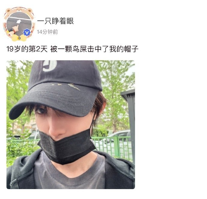 张泽禹被鸟屎击中帽子张泽禹19岁的第2天 张泽禹高会更新了：19岁的第2天，被一