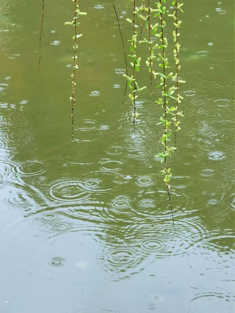 人生感悟：人生如同一本书，每一页都充满了未知和挑战，但正是这些未知和挑战，让我们