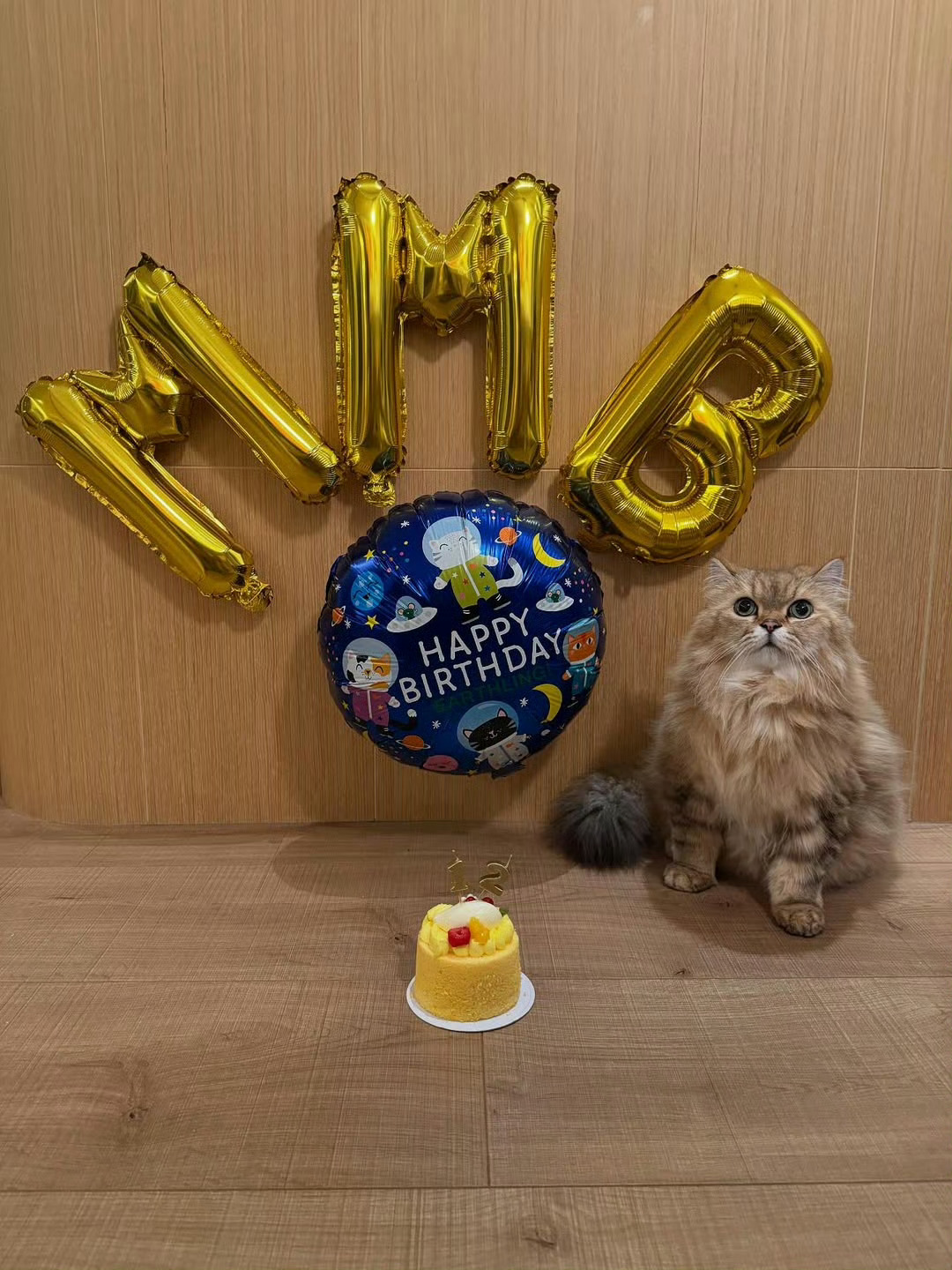 舒淇冯德伦帮猫小孩过生日舒淇晒猫猫生日照 ​​​好可爱的猫猫生日照 ​​​
