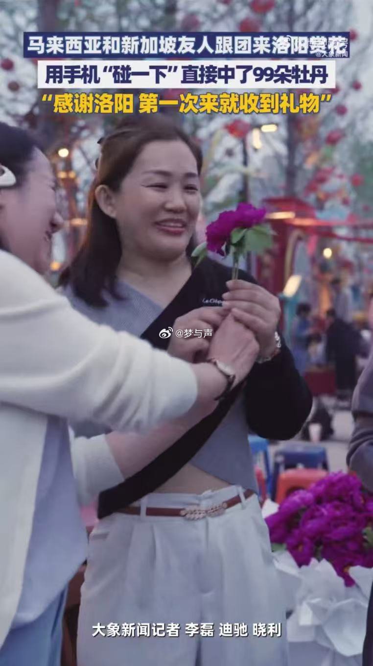 外籍友人组团来洛阳赏花 洛阳牡丹火爆出圈，吸引外籍友人专程前来，共赴一场浪漫的春