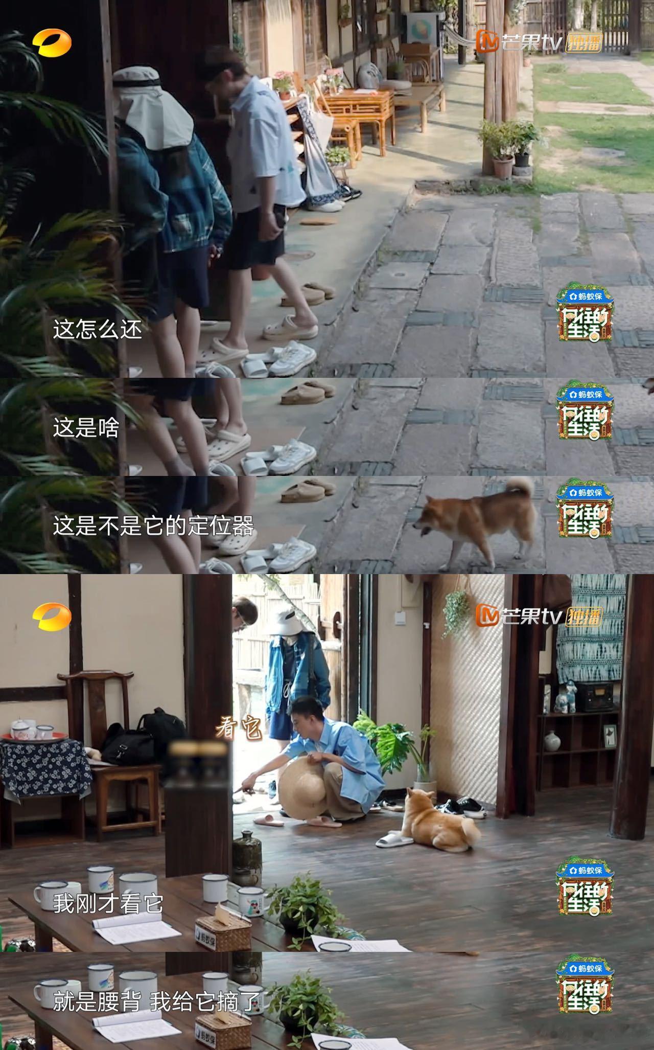 付航 内向人格 付航的内向人格让我更能理解他在《向往的生活》里的表现。虽然台上光