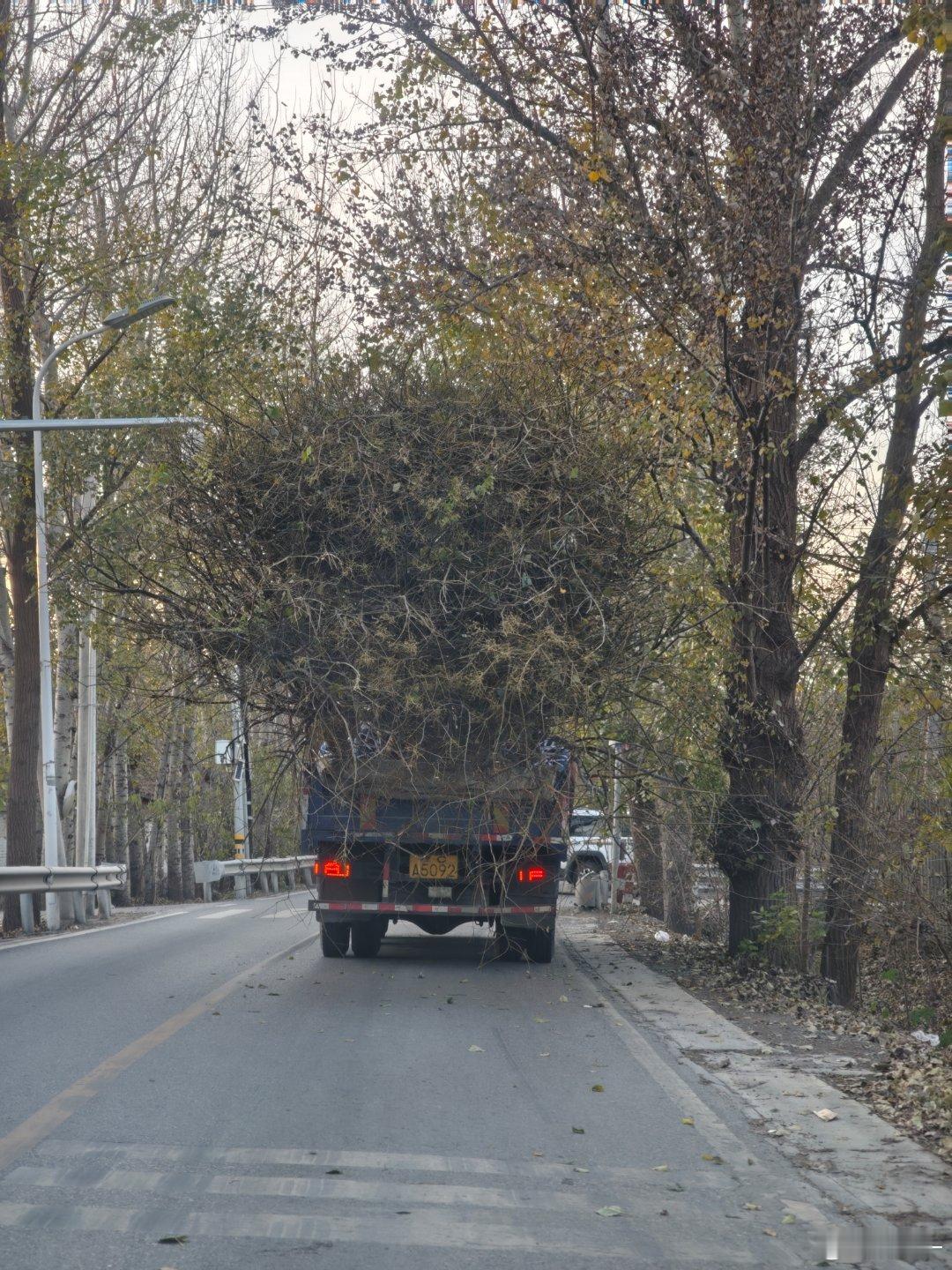 双向两车道，前边货车拉了一整车树枝每每经过狭窄的地方大哥的货就会打到旁边的行道树