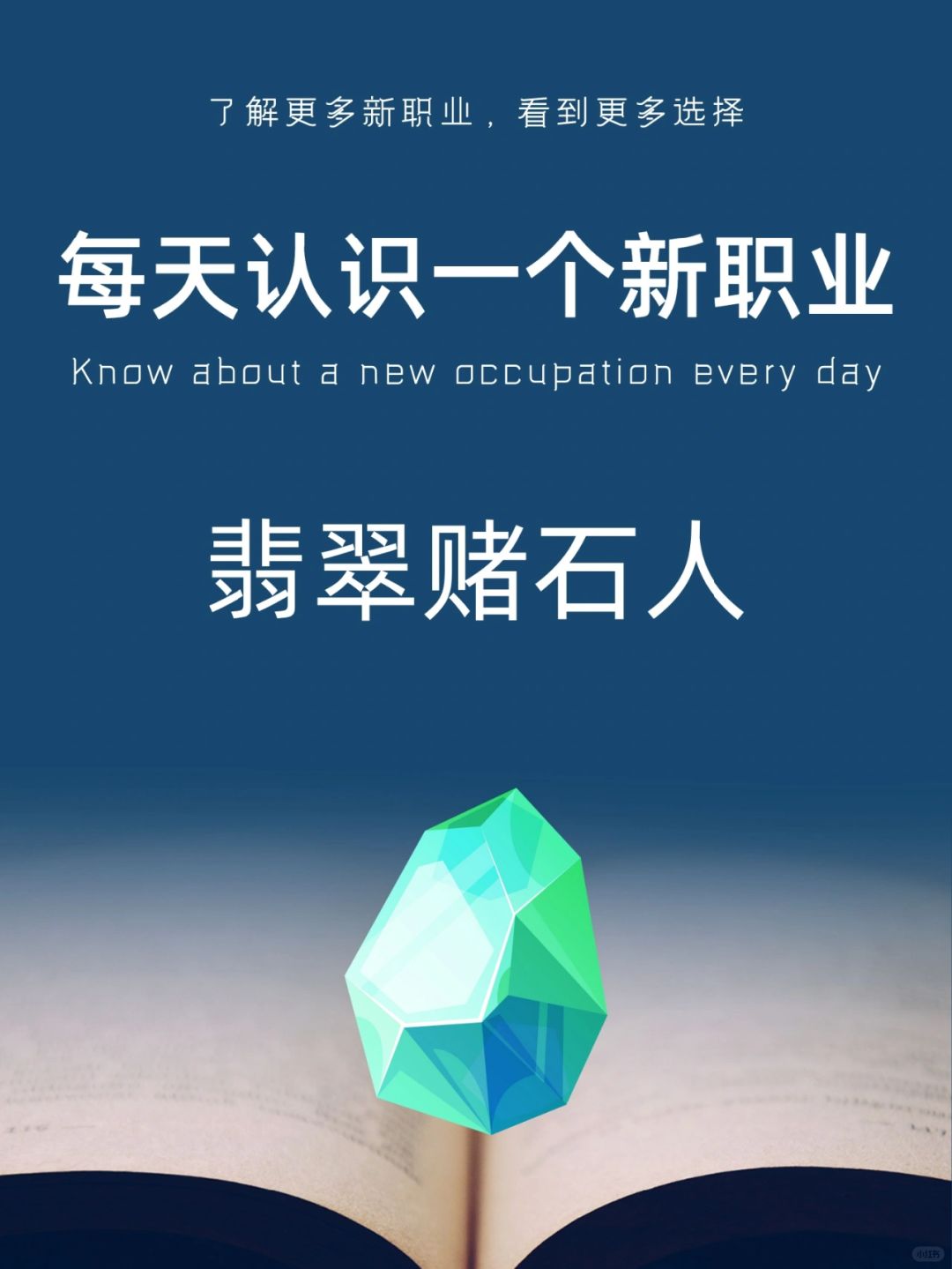 每天认识一个新职业｜翡翠赌石人