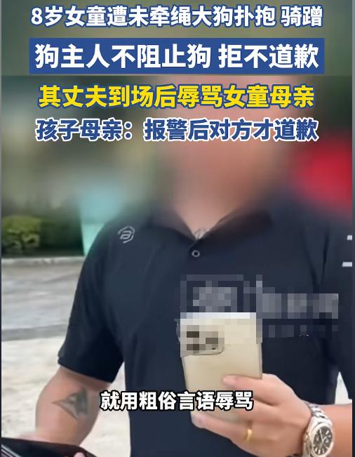 玉溪公园大狗扑孩子，

主人说发情期就没事了，

法律真不管吗？

那天晚上八点
