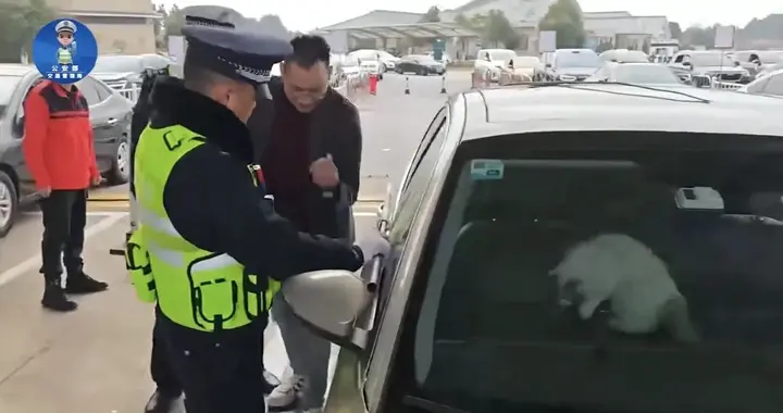 男子驾车返乡途中被猫锁在车外