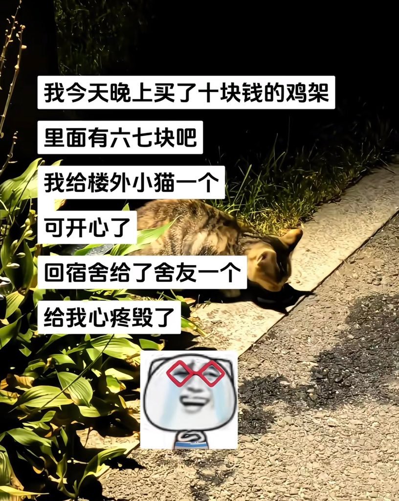 （其实我也这样） 