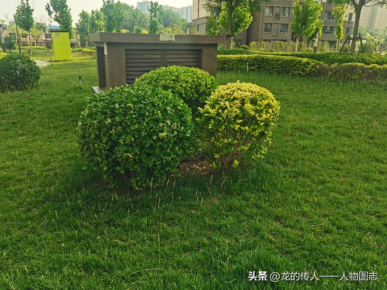 晒图笔记大赛