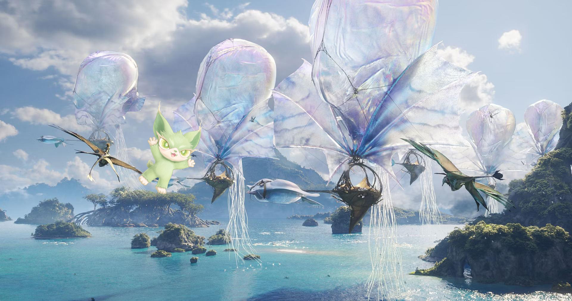 infp里来了只喵娲娲小木是INFP，自由浪漫、氧气感满满，跟着它一起云游四海?