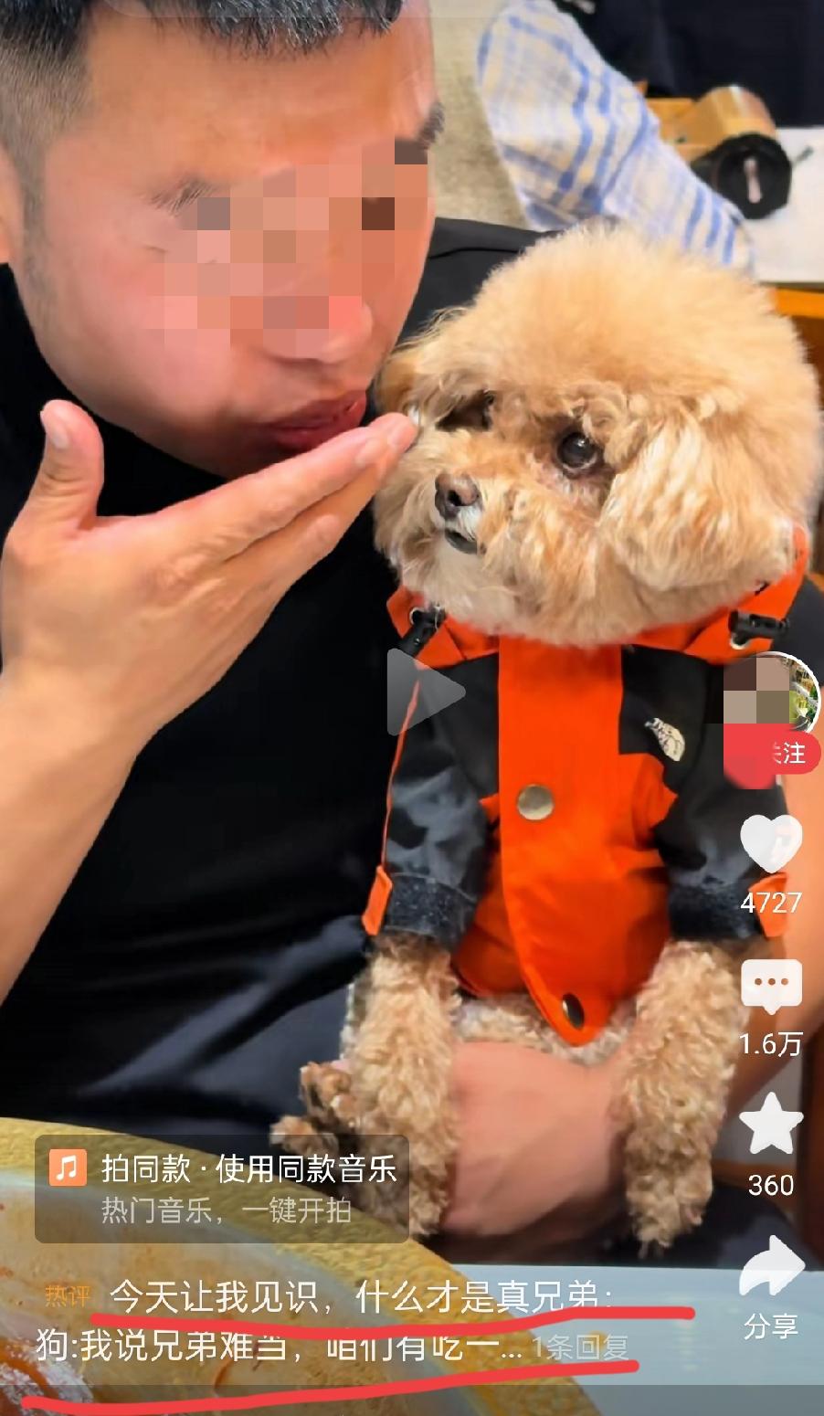 我擦，人称狗兄狗弟的这一通操作，硬是把我一个正常人恶心麻了！实在看不出人与狗的区