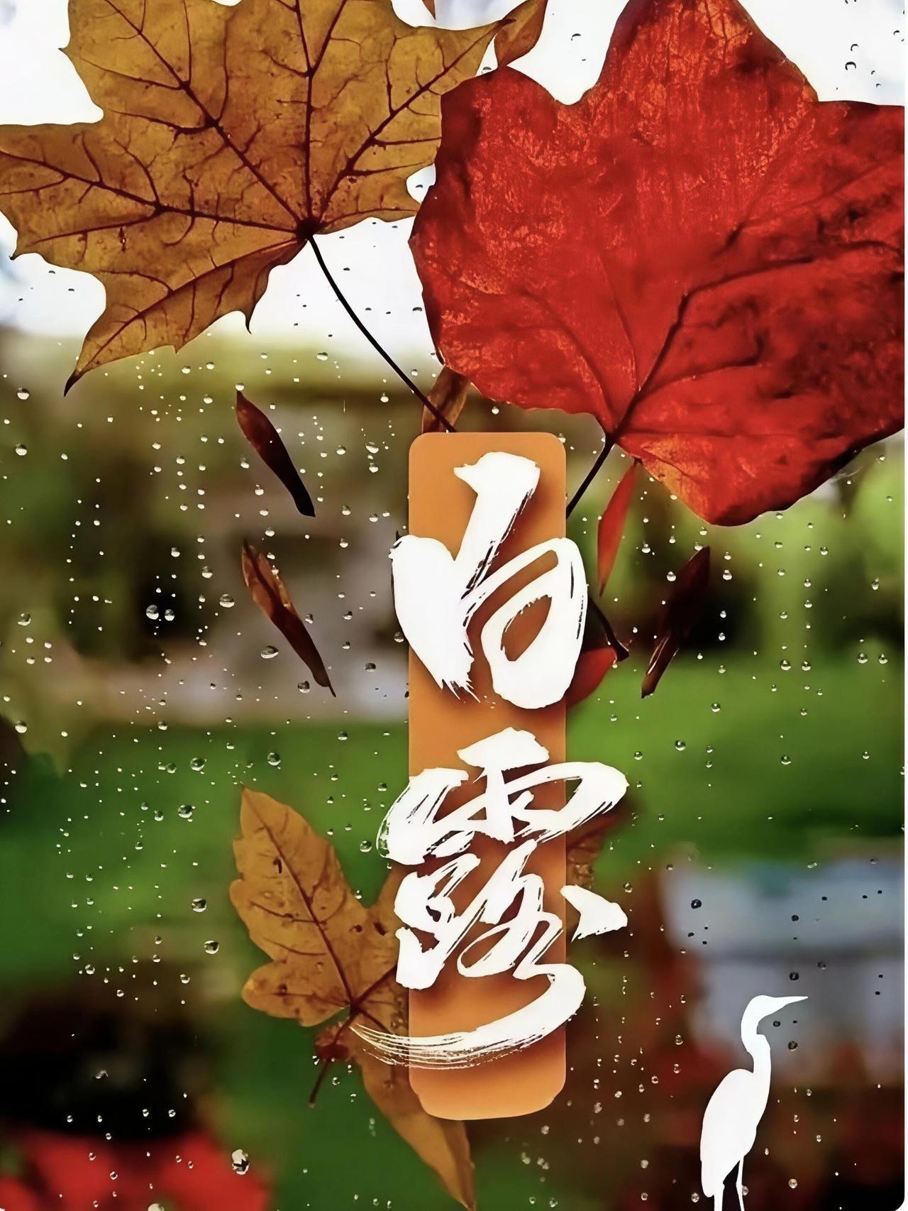作者加速成长计划“露从今白，明是今夜明”，时光流转，白露悄然而至，秋风百花为念，