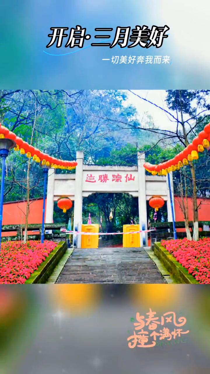 与春风撞个满怀，开启三月美好。一切美好奔我而来。
