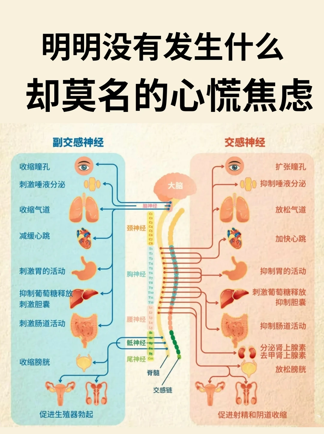 放松身心缓解焦虑