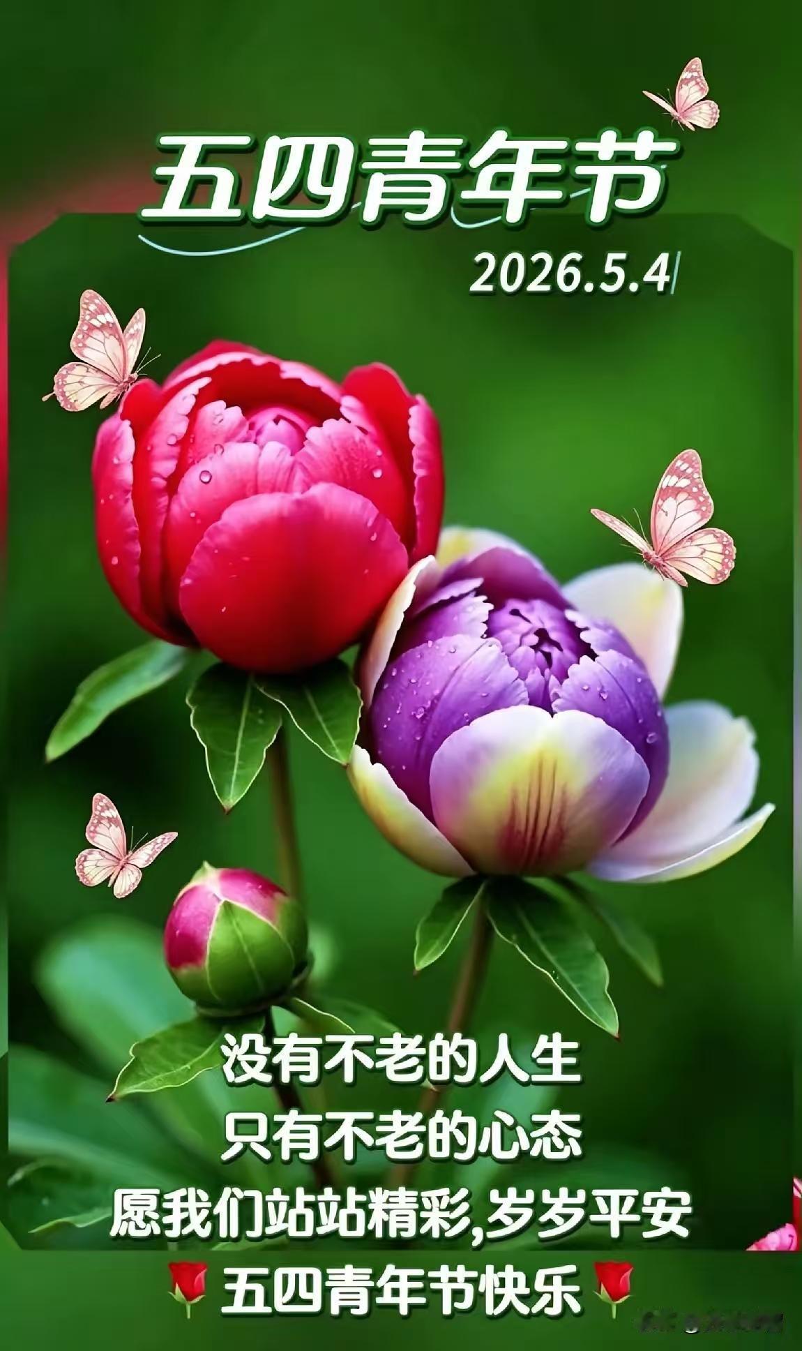 今天是“五四”青年节，老师给我发了一张图片，我知道，老师送给我的是图片上的那几句