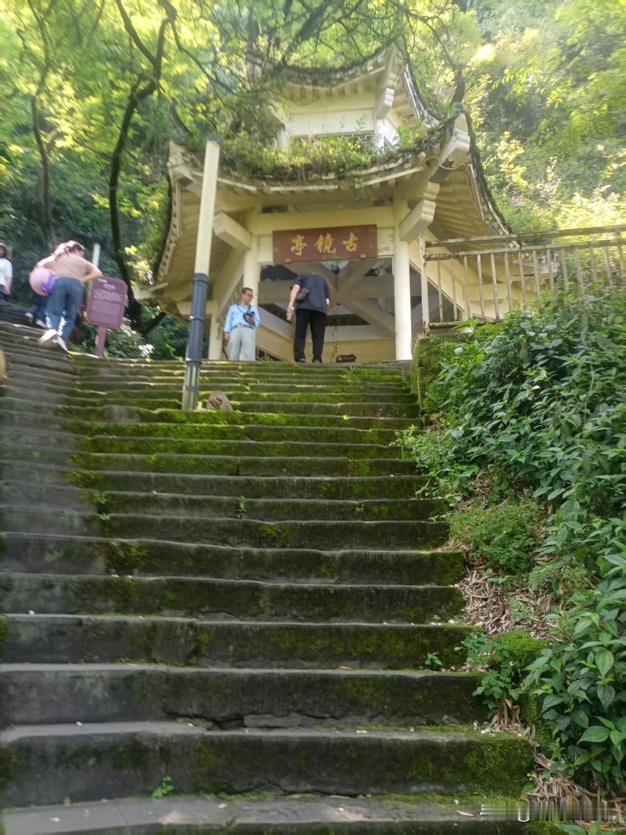 古剑山游历纪
罗永生
古剑嵯峨七秩攀，
陡阶千转净音关。
扶栏憩听松涛涌，
摇蔓