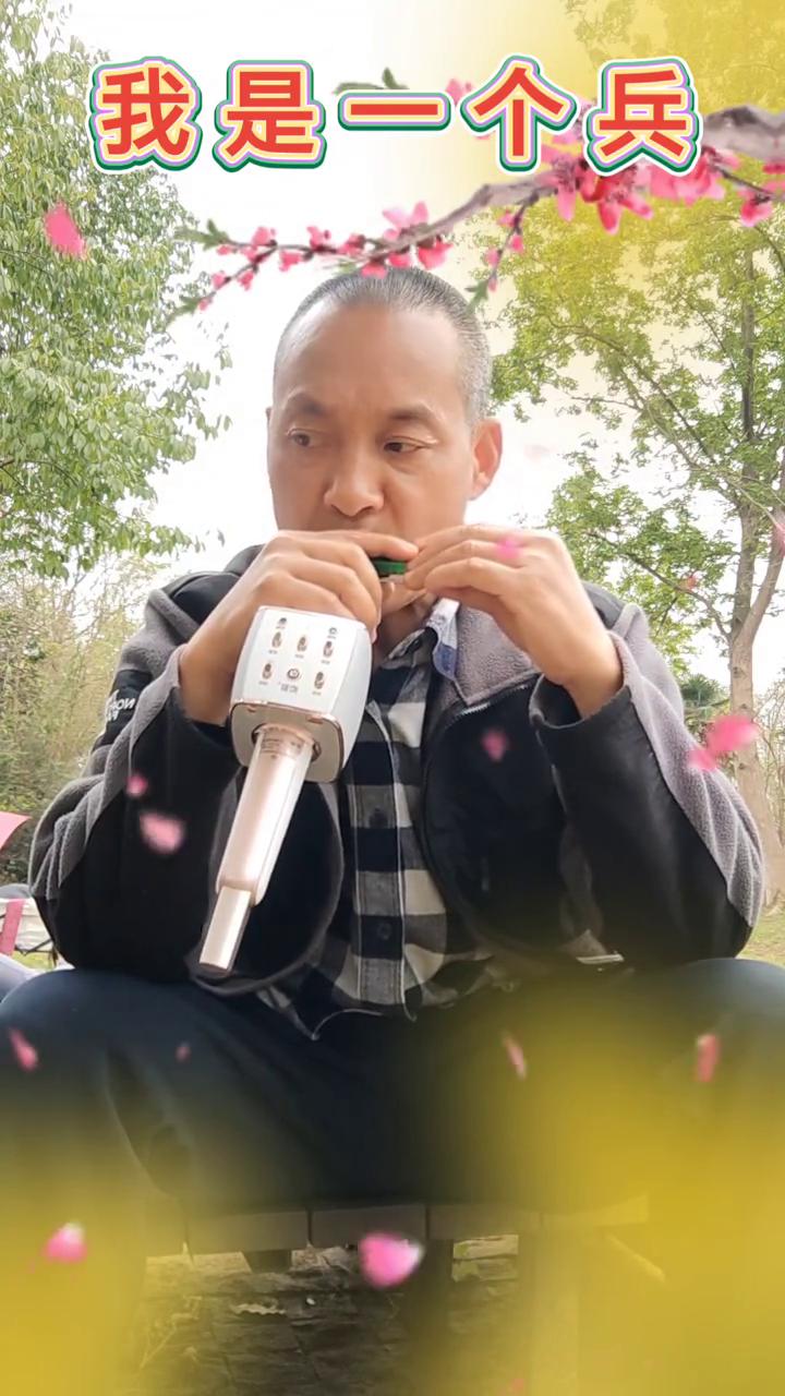 我是一个兵。
红星闪烁。
DIRECTOR导演，PERFORMER演员。
DAT