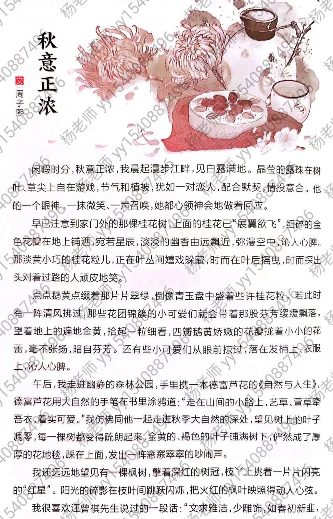 这篇文章的语言系统值得学习‼️