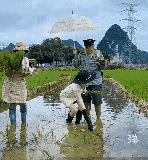 小棉袄每年都从大城市回家，帮老爹老娘插秧，邻居们都羡慕得很。[捂脸]