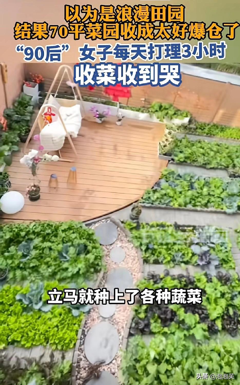 “翻车”

浙江一位90后女生

向往田园生活，把70平小院种满蔬菜

本想实现