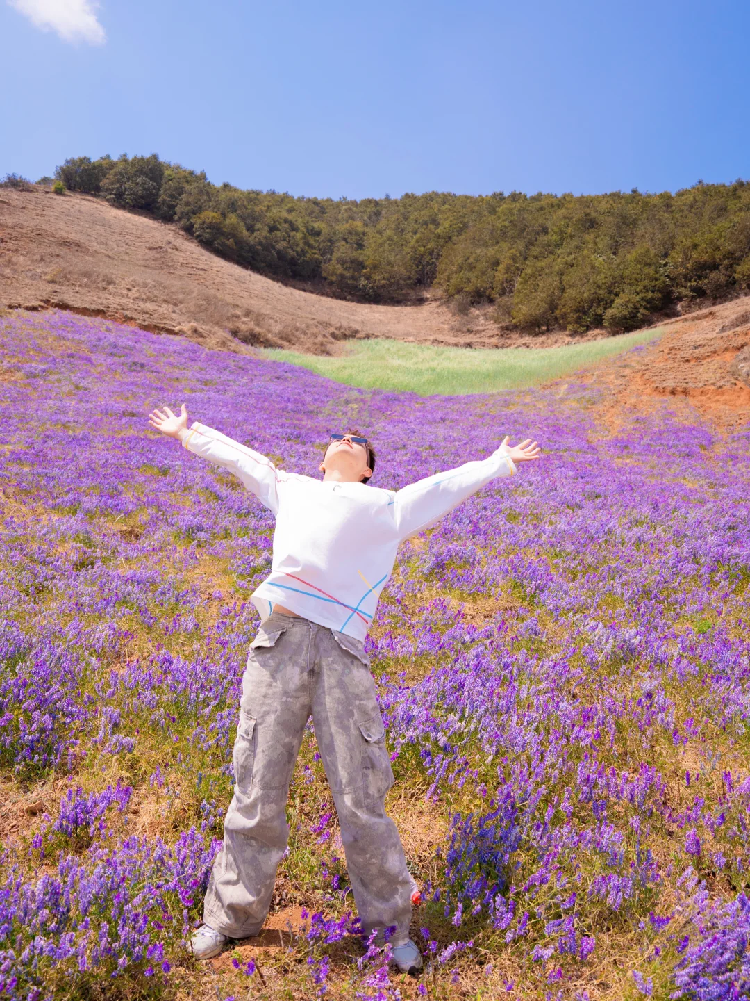 在昆明❗️被这紫色的花海硬控了‼️