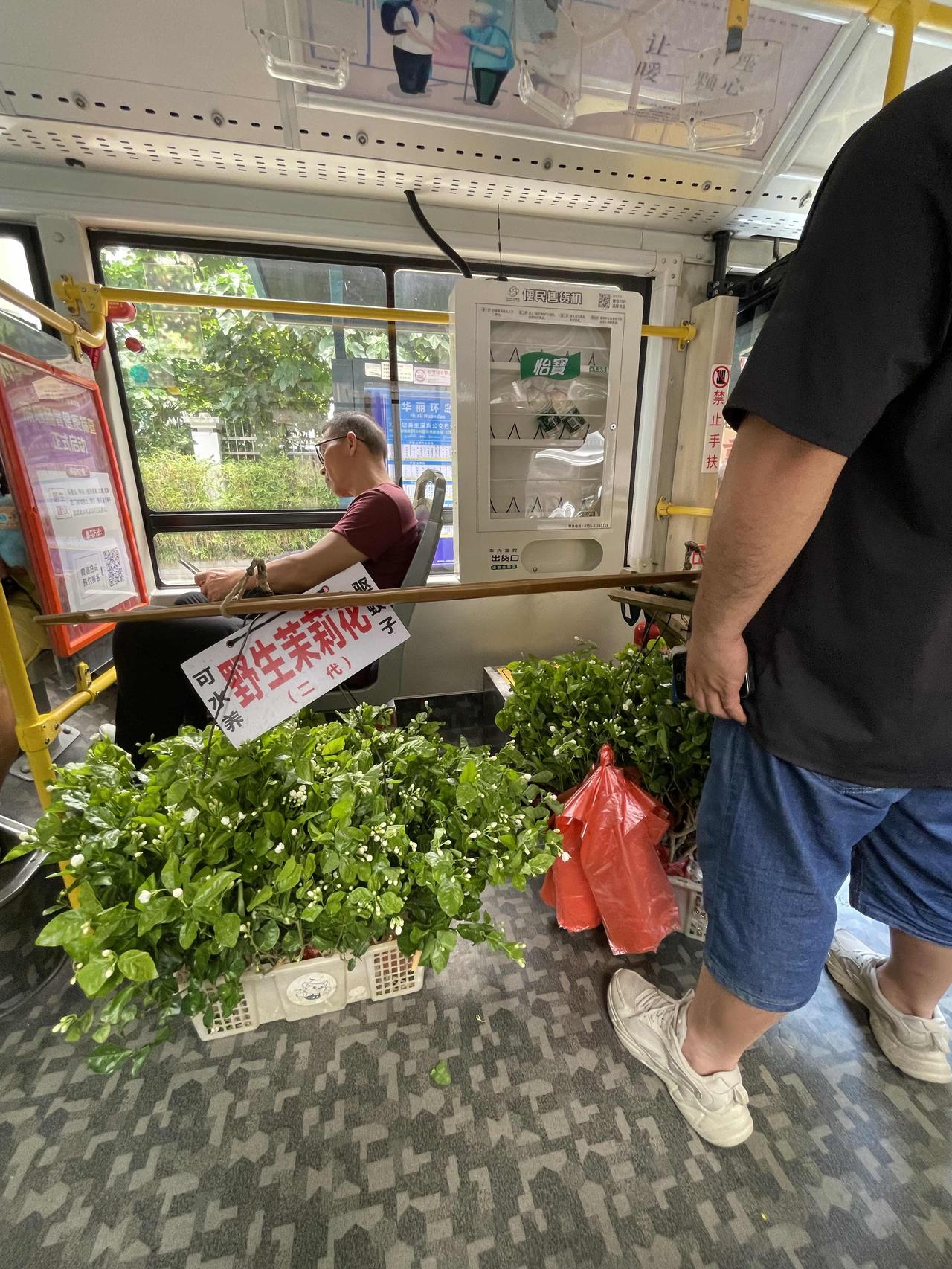 卖花啦！卖野生茉莉花！我想起之前在街边遇到卖野生茉莉花的场景。那洁白的花朵小巧玲