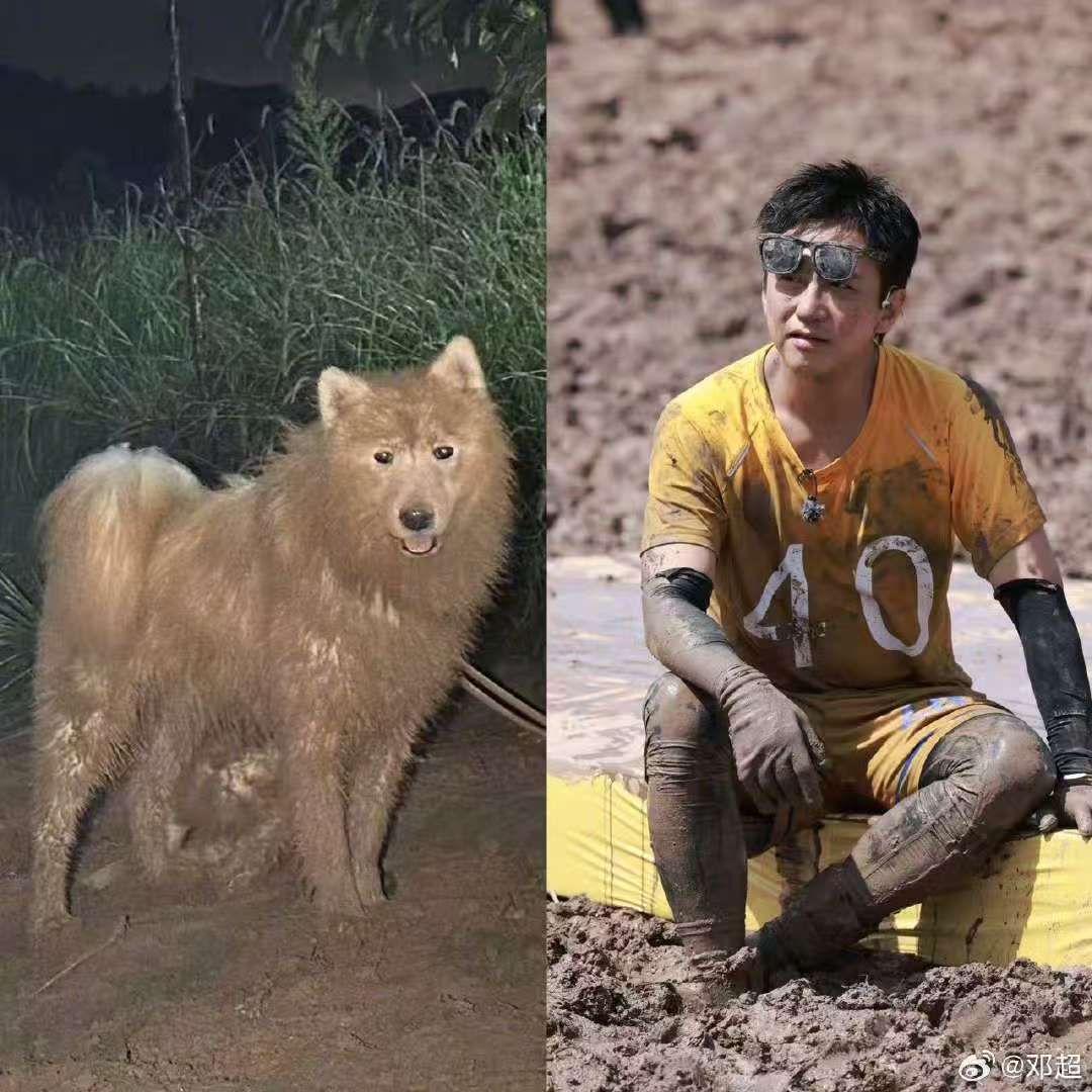 邓超cos泥潭萨摩耶邓超cos萨摩耶打几分邓超cos萨摩耶打几分，比格出没 ​​