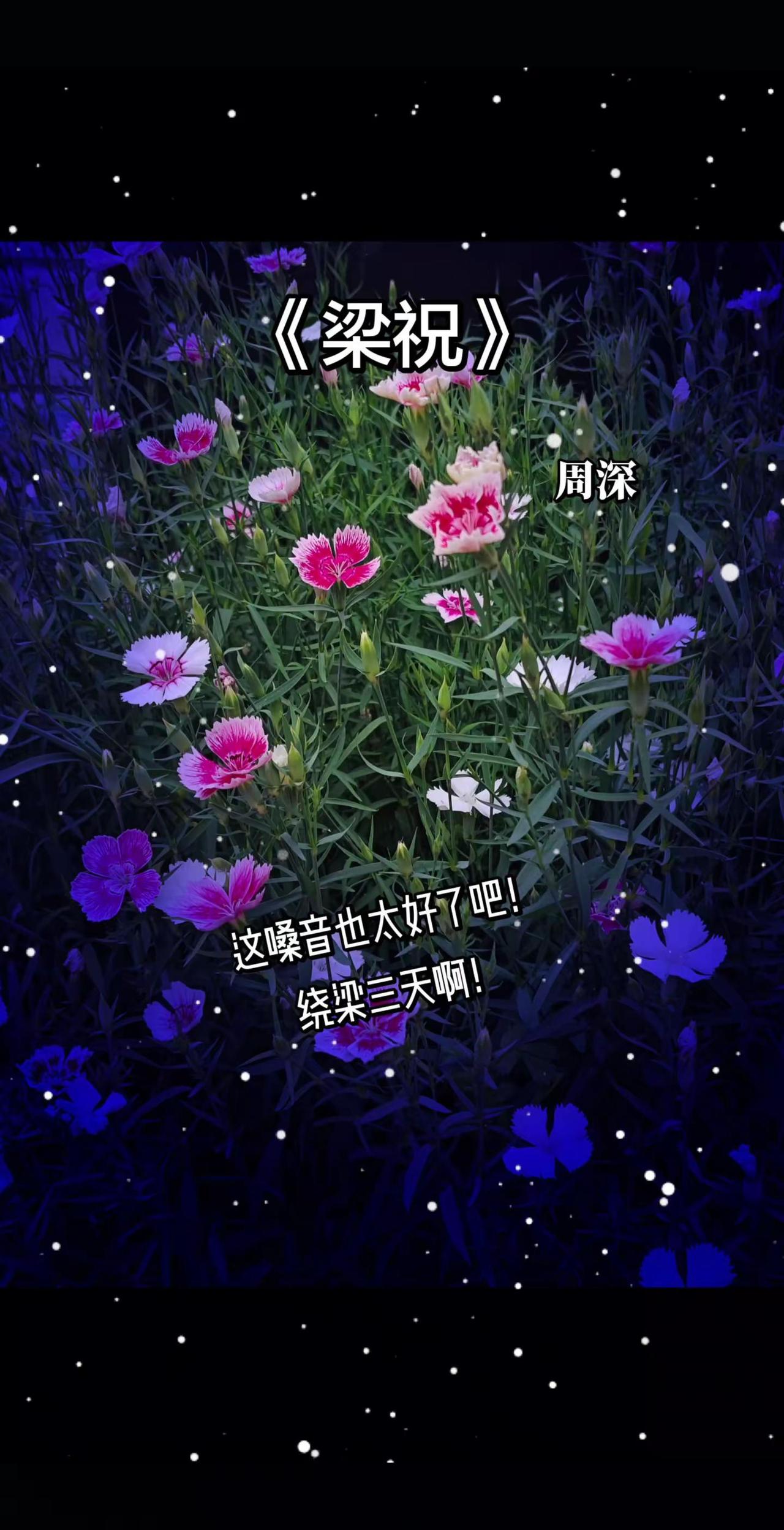 周深版本的梁祝真好听啊