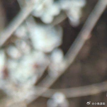 柔软的人更容易幸福你总怕自己太软会被欺负，于是学着硬起心肠。可后来你发现，真正过
