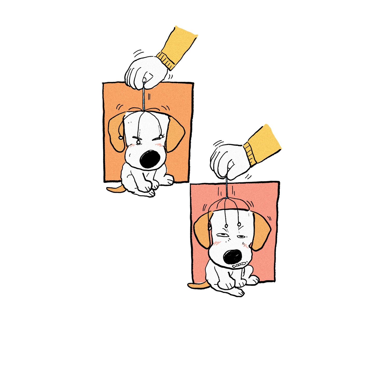 给小狗按个摩吧。